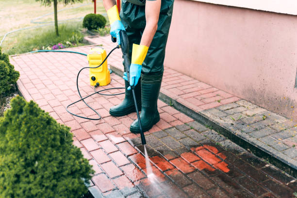 Best Exterior Home Cleaning  in Loogootee, IN