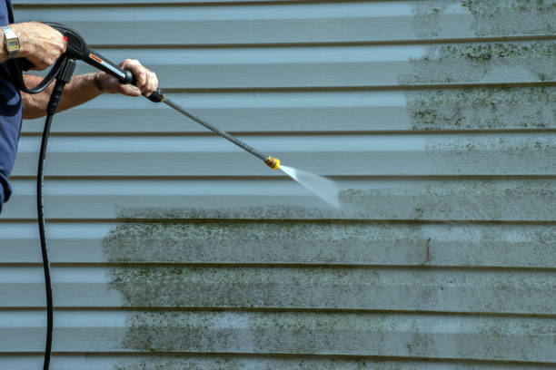 Best Concrete Pressure Washing  in Loogootee, IN