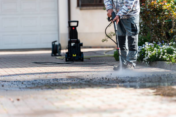 Best Pressure Washing Contractors  in Loogootee, IN